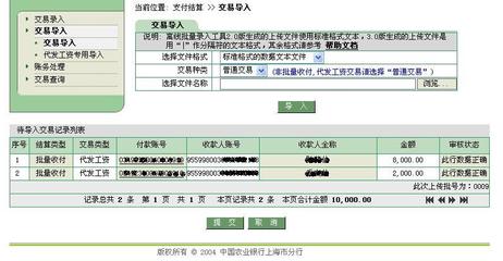 濟寧工資代發服務 金融機構委托下的高效解決方案